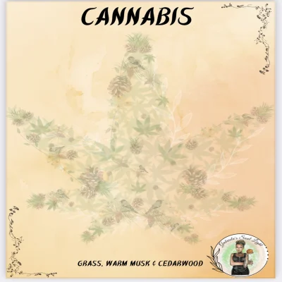 Cannabis – Luxury Car Diffuser 8ml Cannabis luxury car diffuser with wooden cap hanging in a vehicle